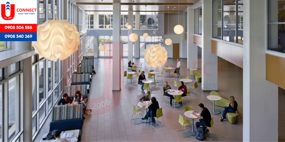 Đại học San Francisco State University, bang California – Mỹ
